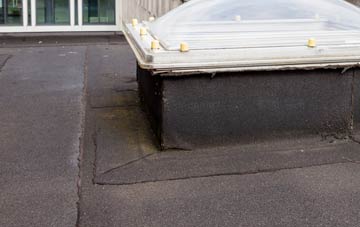 disadvantages of Lower Solva flat roofs