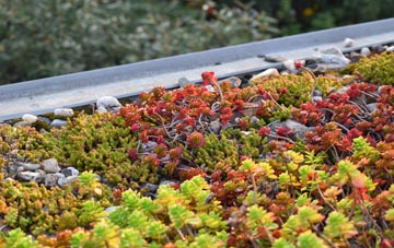 the cost of Lower Solva green roof installation