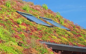 Lower Solva living roof systems