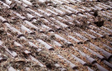 Lower Solva roof cleaning companies