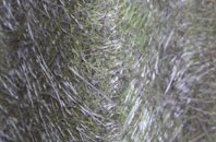 Lower Solva fibreglass roof work